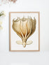 wood framed octopus print wall art